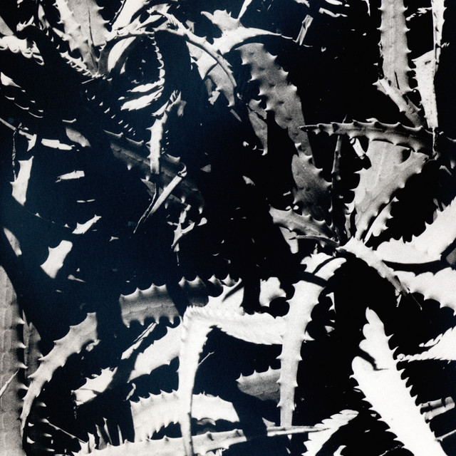 Void VII cover art