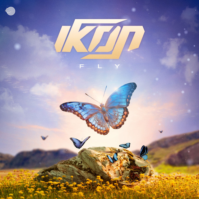 Fly album art