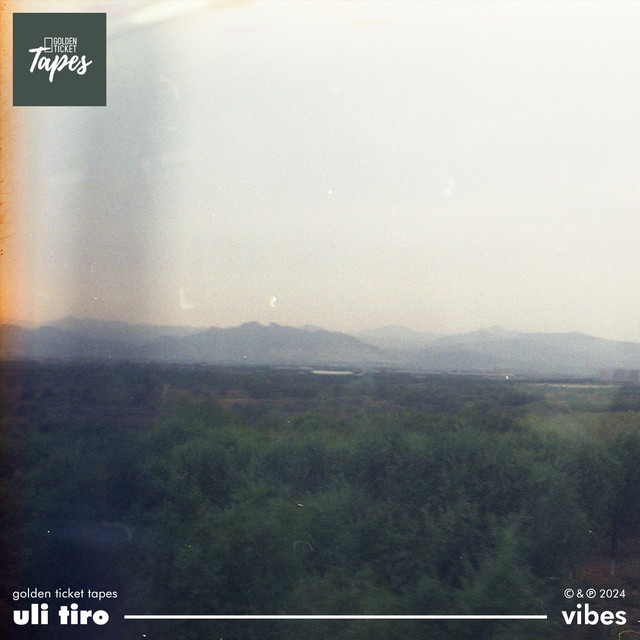 Vibes cover