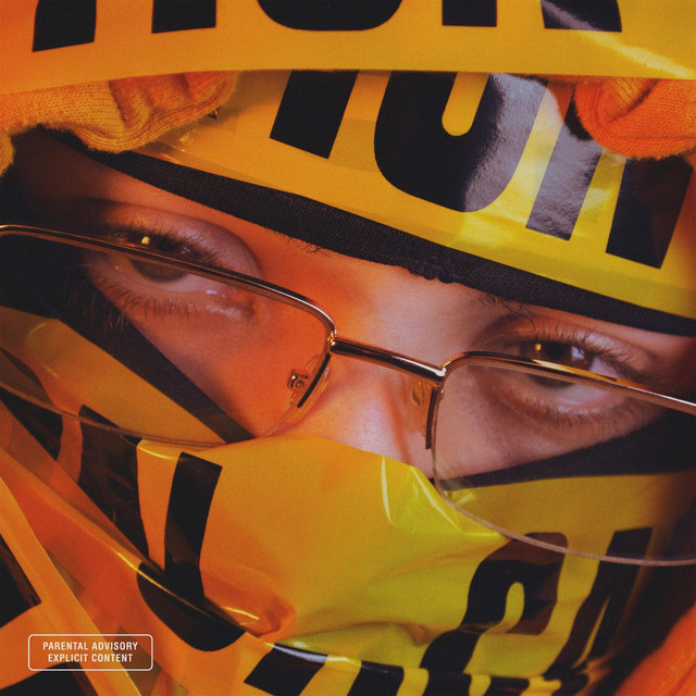 Danger cover art