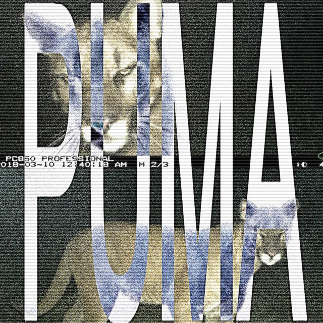PUMA cover art