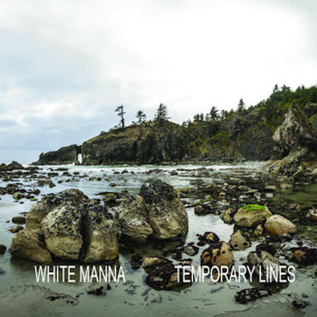 Temporary Lines cover