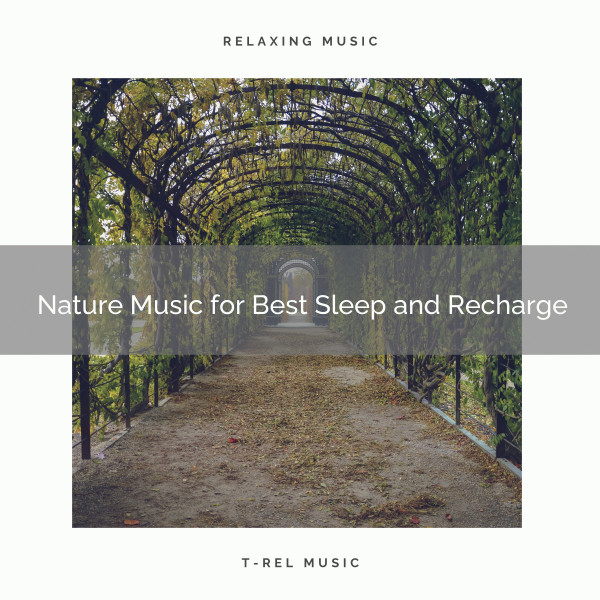 Nature Music for Best Sleep and Recharge - Album by Nature Sounds for ...