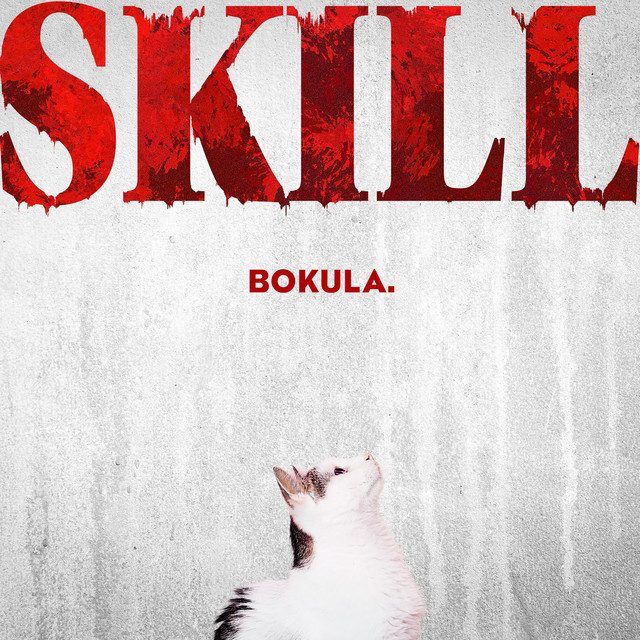 Skill cover art