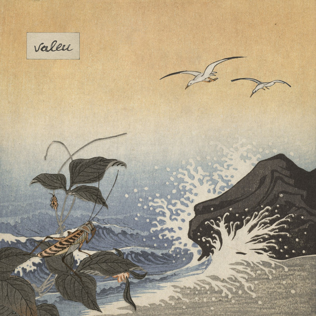 valeu cover art