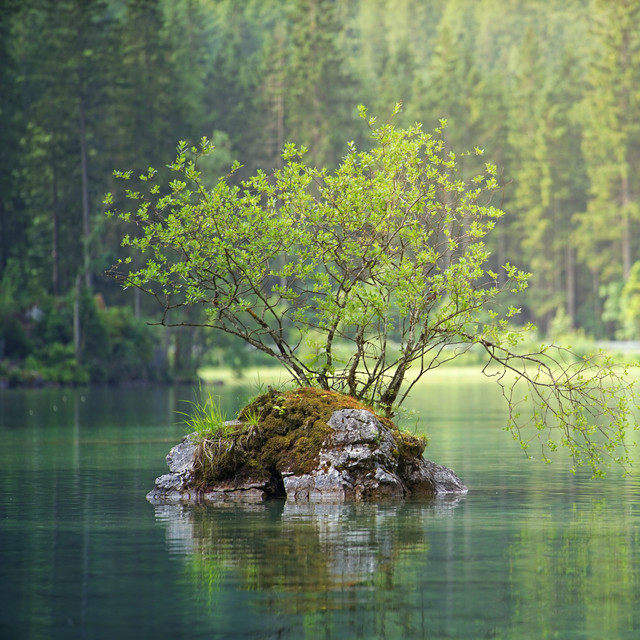 Zen