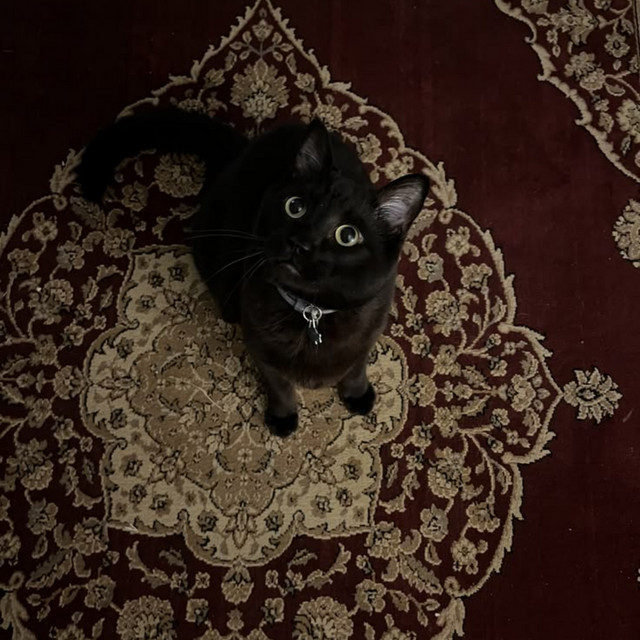 undefined album image