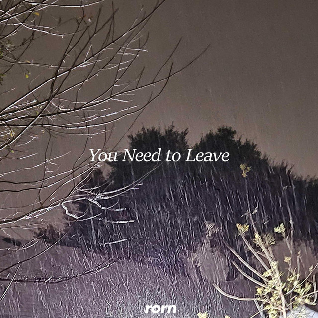 You Need to Leave cover art