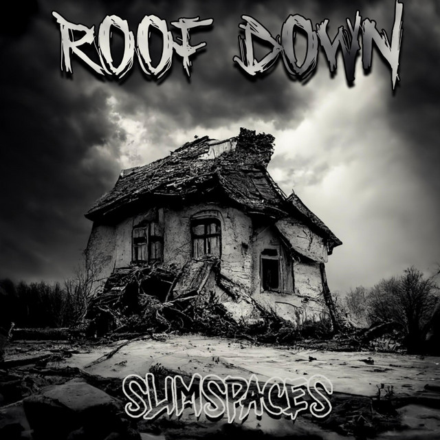 SlimSpaces artist photo