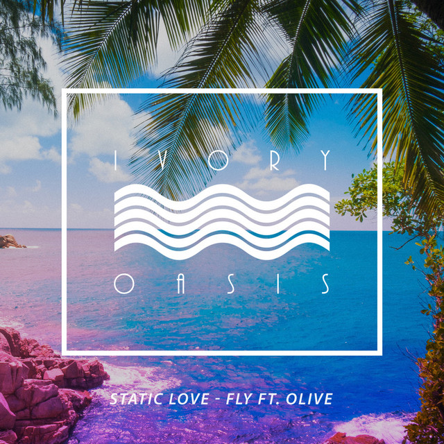 Fly cover art