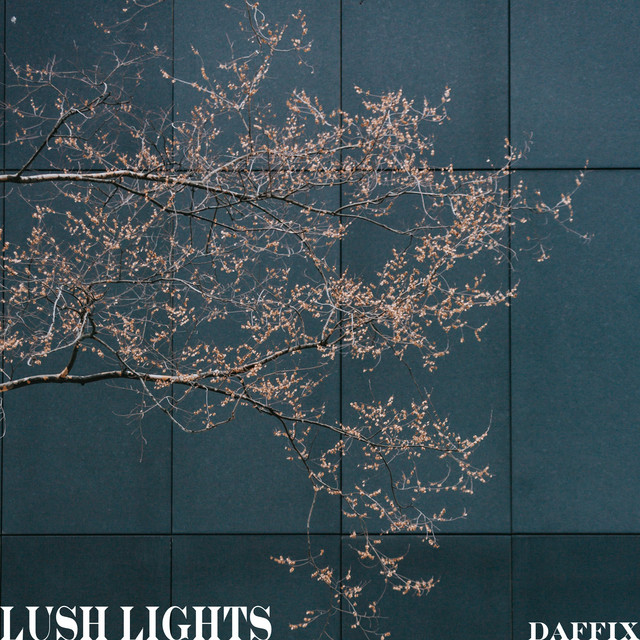 Lush Lights