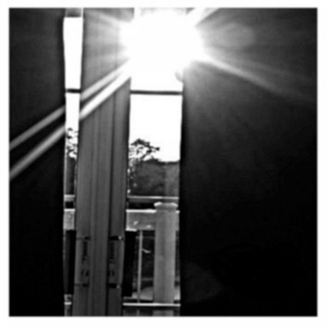 Stillness in Movement (single)