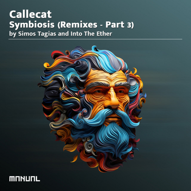 Interconnecting Echoes - Into The Ether Remix album art