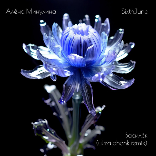 Василёк (ultra phonk remix) album image