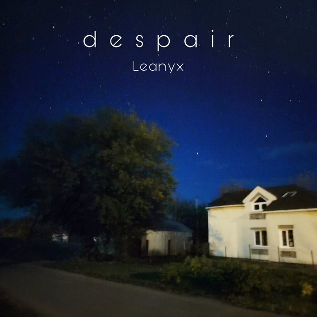 Обкладинка: despair — Leanyx
