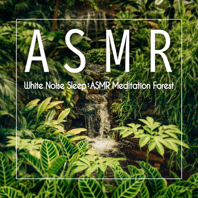 白噪音睡眠: ASMR冥想森林 by 貴族音樂ASMR