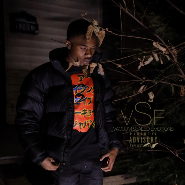 Vacuum Sealed Emotions cover art