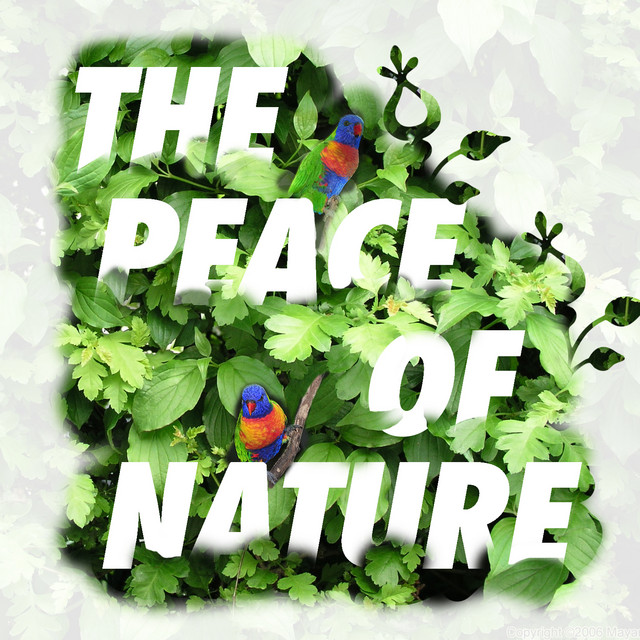 The Peace of Nature cover art