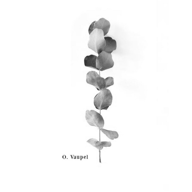Til Årstiderne, Levet Gennem Vores Fælles Syn cover art