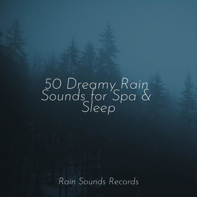 50 Dreamy Rain Sounds for Spa & Sleep - Album by New Age | Spotify