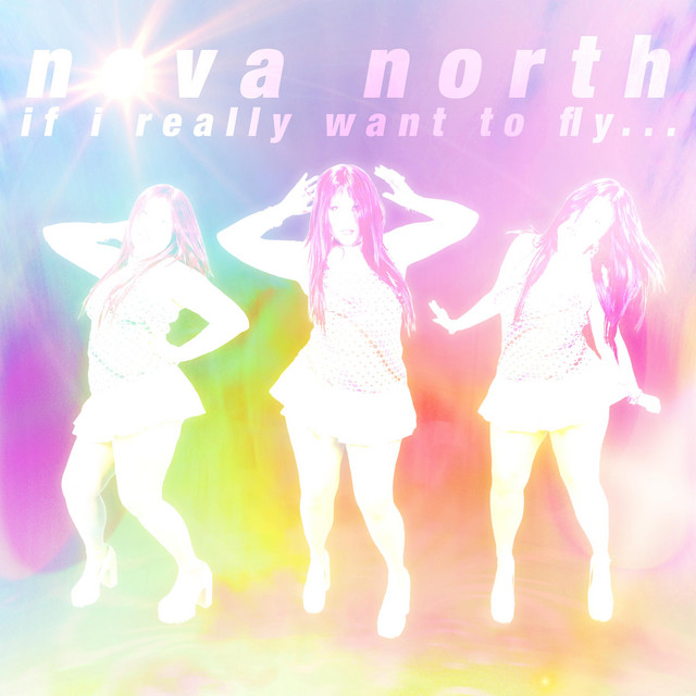 If I Really Want To Fly... cover art