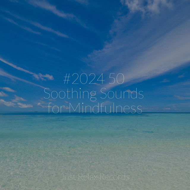 #2024 50 Soothing Sounds for Mindfulness
