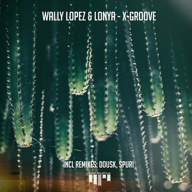 X-Groove - Dousk Remix - song and lyrics by Wally Lopez, Lonya