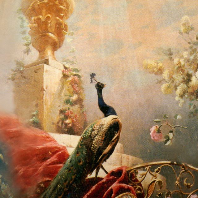 appear cover art