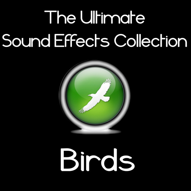 Raven 4 - song and lyrics by Pro Sound Effects Library | Spotify
