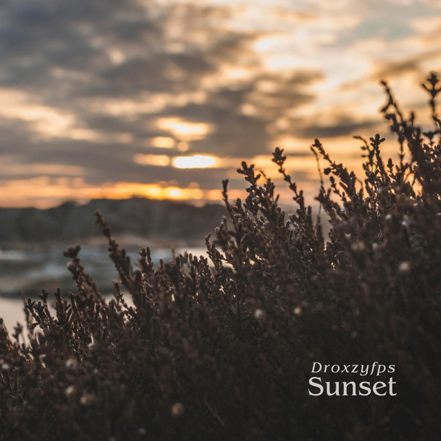 Sunset - Single by Droxzyfps | Spotify