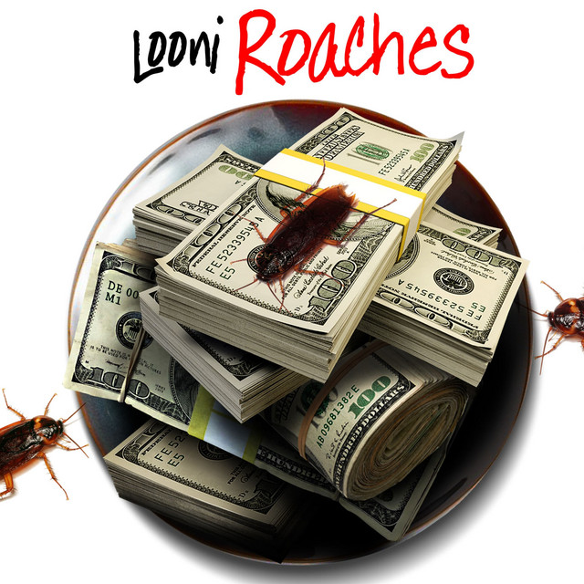 Roaches