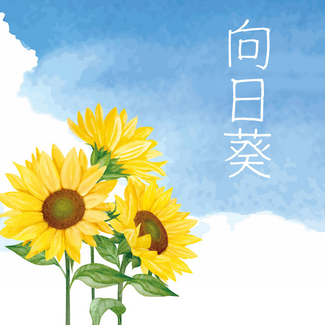 ●ひまわり