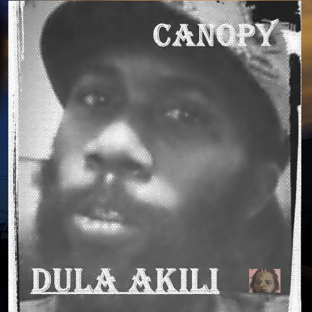 Canopy cover art