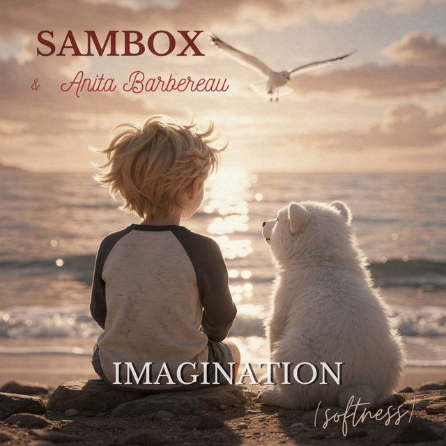 Imagination (Softness) cover art