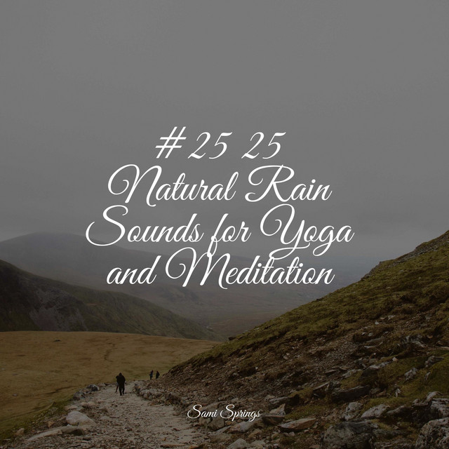 #25 25 Natural Rain Sounds for Yoga and Meditation - Album by ...