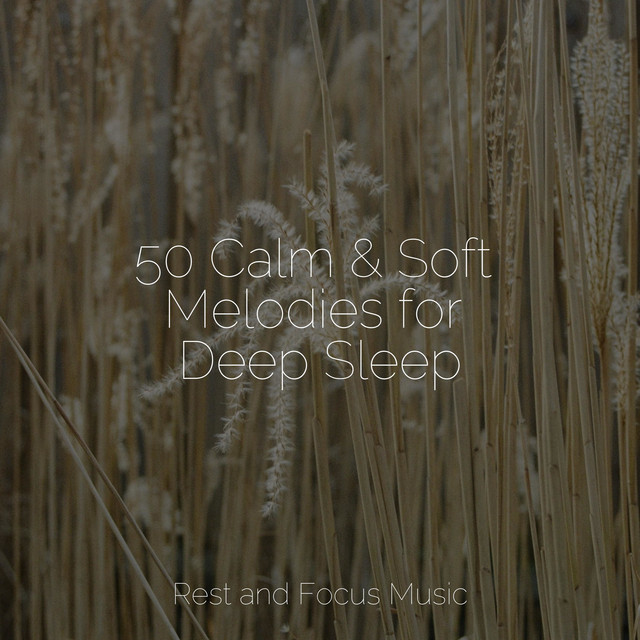 50 Calm & Soft Melodies for Deep Sleep - Album by Brain Study Music ...