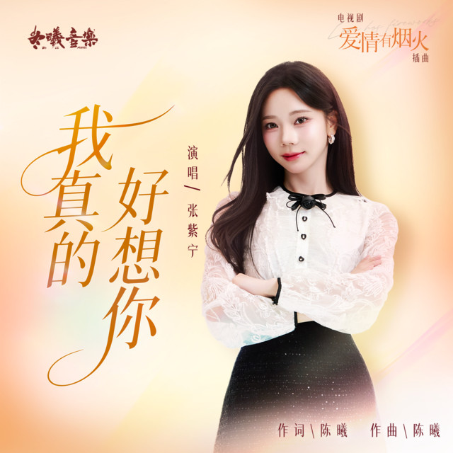 我真的好想你 (电视剧《爱情有烟火》插曲)