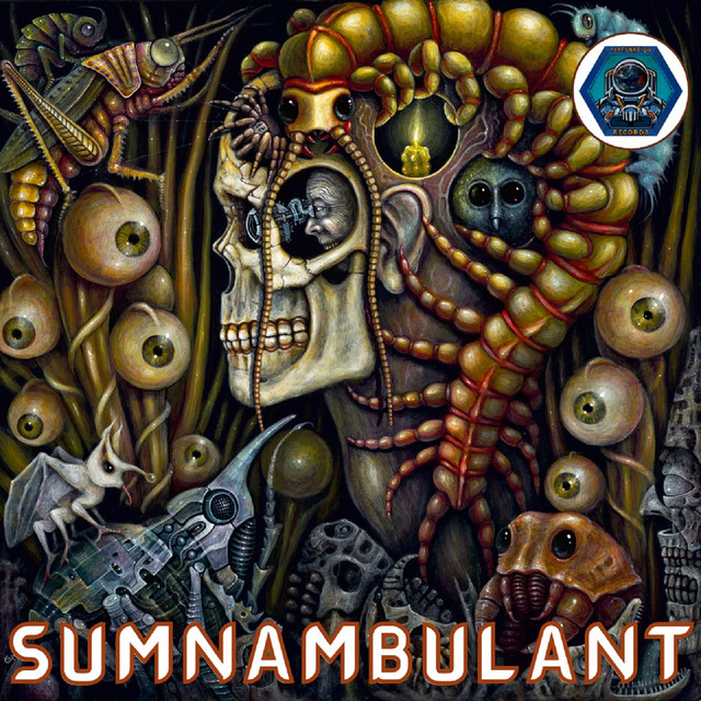 Sumnambulant cover art