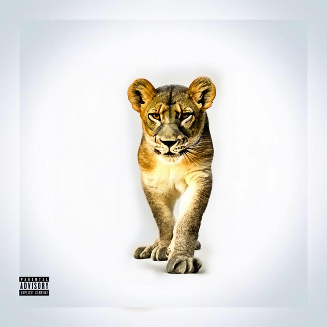 Leões cover art
