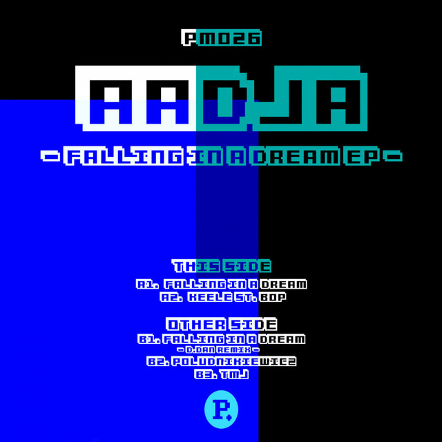 Falling In A Dream - D.Dan Remix