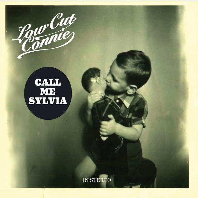 Call Me Sylvia cover art