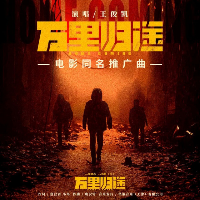 万里归途 (电影《万里归途》同名推广曲) cover
