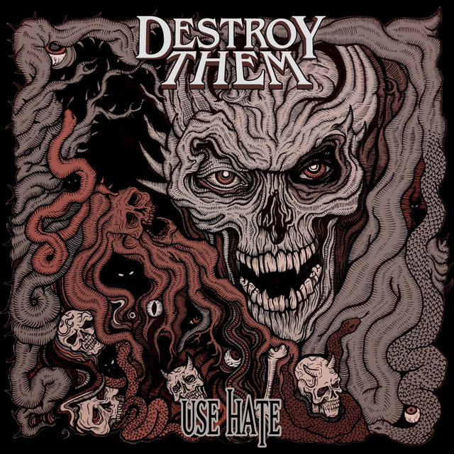 Use Hate cover art