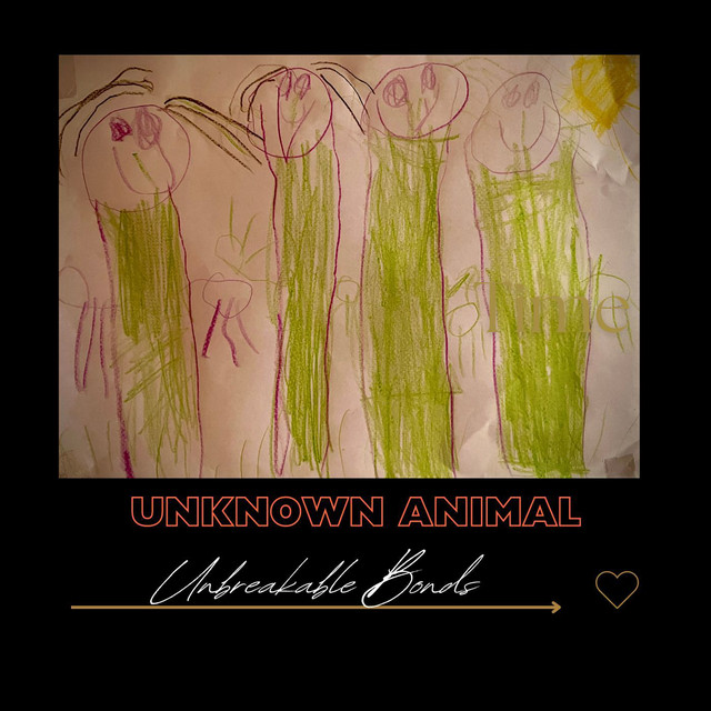 Unknown Animal Photo