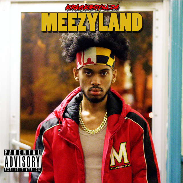 Meezyland cover art