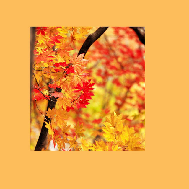 Quartet Jazz - Ambiance for Relaxing December cover art