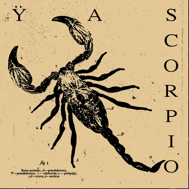 Scorpio - Single by Ÿas | Spotify