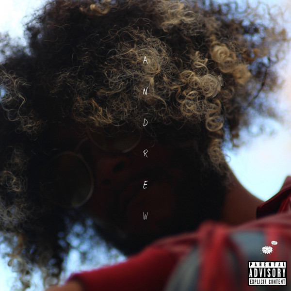 ANDREW cover art