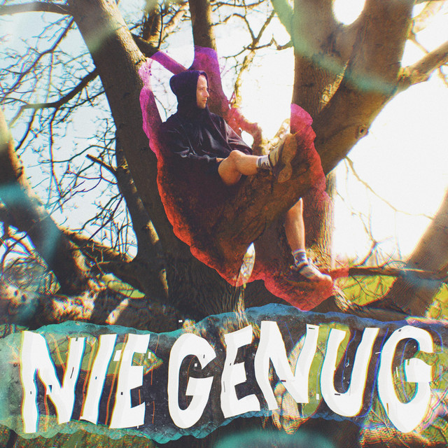 NIE GENUG cover art