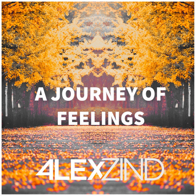 A Journey Of Feelings cover art